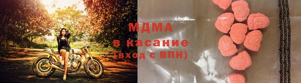 трава Аркадак
