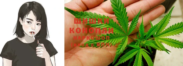 трава Аркадак