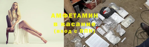 трава Аркадак
