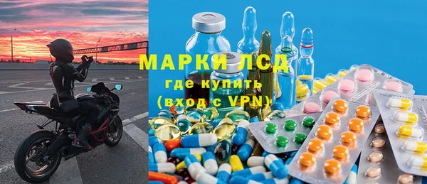 трава Аркадак