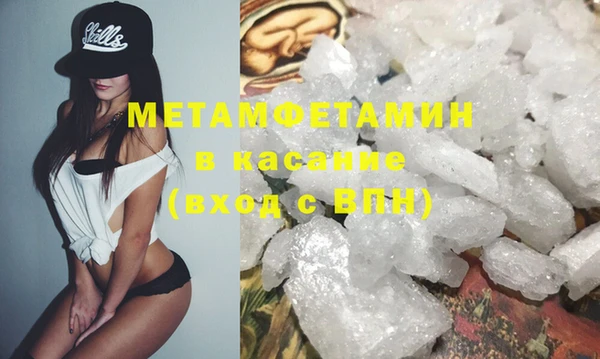 трава Аркадак