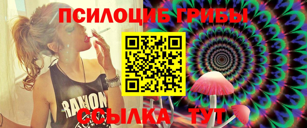 Галлюциногенные грибы MAGIC MUSHROOMS  Псилоцибиновые грибы MAGIC MUSHROOMS  Лениногорск  Вход с VPN 