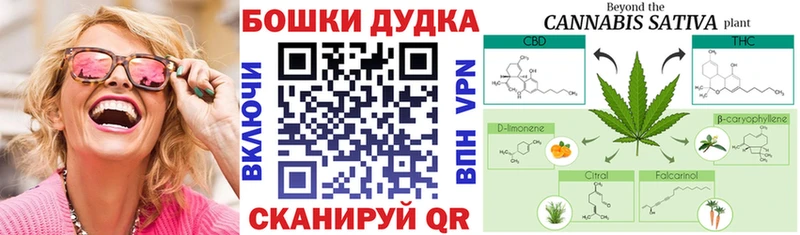 Бошки Шишки ГИДРОПОН Лениногорск