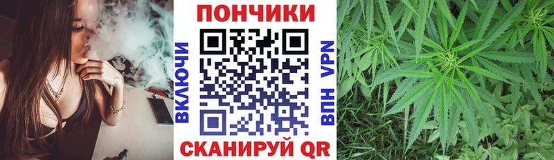 Бошки марихуана Amnesia Лениногорск